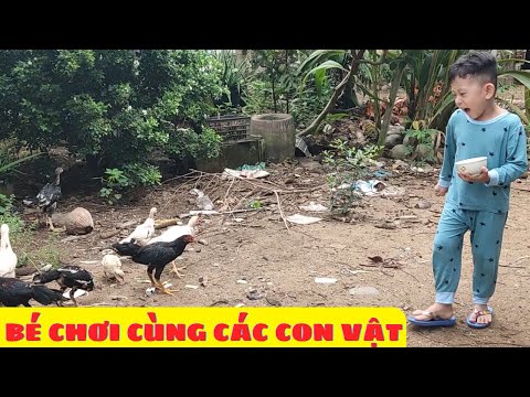 Con Gì Đây | Bé Về Quê Chơi Cùng Các Con Vật Trong Vườn Nhà Ông