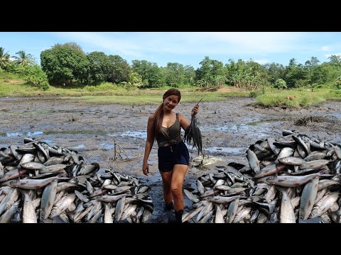 Harvest nang Aking Fishpond || Umabot sa 324 kilos ng bangus ang naharvest 😱