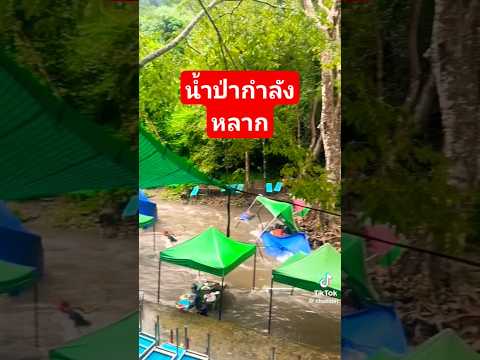 น้ำป่ากำลังหลาก