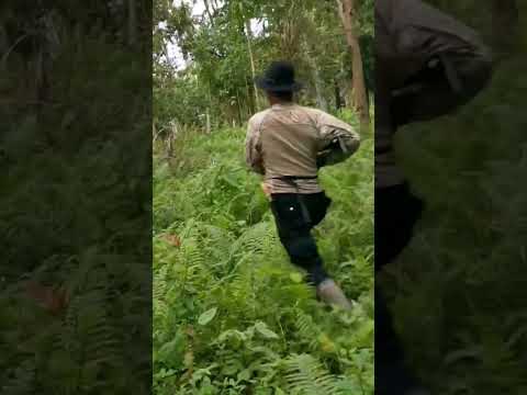 TERLIHAT SANTAI PADAHAL TERTEMBUS MIMIS #short