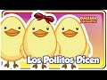 Background Sounds and Phrases Analysis
