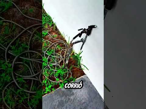 Inundó TODA su CIUDAD