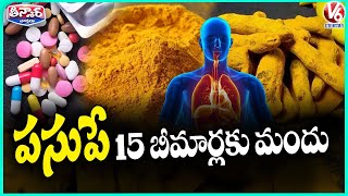 Ayush, Ministry Of Health Highlights Medicinal Benefits of Turmeric for 15 Diseases | V6 Teenmaar