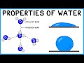 Exploring the Unique Properties of Water