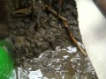 Exploring Weathering, Erosion, and Deposition