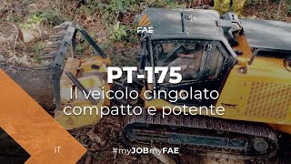 Video - FAE PT-175 - Il veicolo cingolato FAE con trincia forestale, fresaceppi e lama dozer