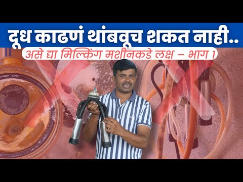 दूध काढणं थांबवूच शकत नाही !!  असे द्या मिल्किंग मशीनकडे लक्ष – भाग 1