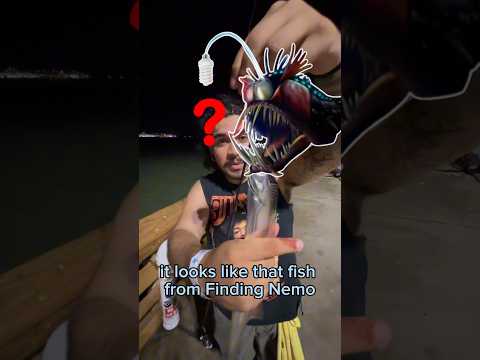 I Caught a RARE Fish from the DEEP..??