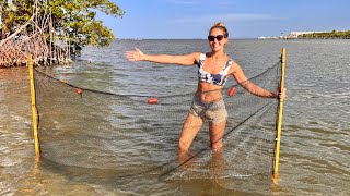 Using a Seine NET to Catch Fish for My Fish Tank! (Surprise Catch)
