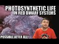 Red Dwarfs and Extraterrestrial Life