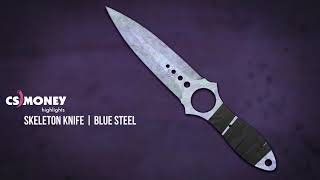 Skeleton Knife Blue Steel Gameplay
