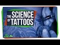 Understanding Tattoos: How They Work and Their Permanence