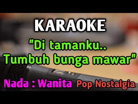 BUNGA MAWAR - KARAOKE || NADA WANITA CEWEK || Novia Kolopaking || Tetty Kadi || Live Keyboard