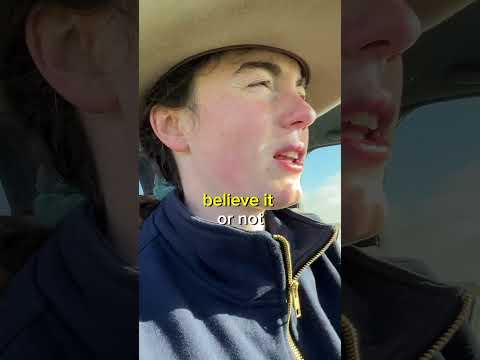 Why do we dock tails? #farmvlog #farming #sheepfarming