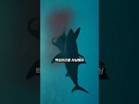 진짜 바다의 생 양아치