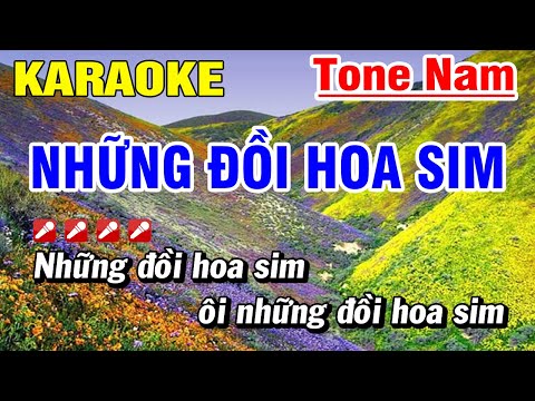 Karaoke Những Đồi Hoa Sim Nhạc Sống Tone Nam | Hoài Phong Organ