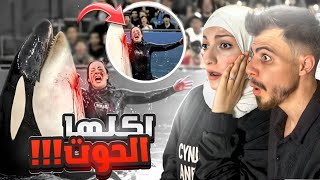 القصة الحقيقية للحوت الذي أكل جيسيكا!😱