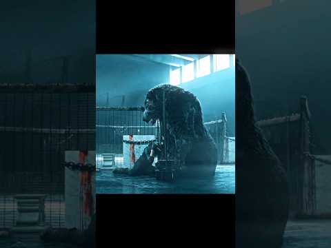 Maggie used zombies to stop the bear's attack. #movie #thewalkingdead #series