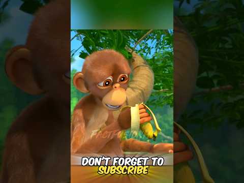 This Monkey used 1000 IQ 🤣 #shorts