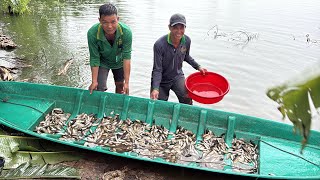 TRÚNG ĐẬM 1 XUỒNG CÁ • Cá Linh Nướng Kiểu Này Chỉ Có Ở Bông Lúa Đồng Tháp