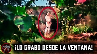 NO PODIA CREER LO QUE MIRABA DESDE LA VENTANA ¿DECIME QUE ES ESTO?