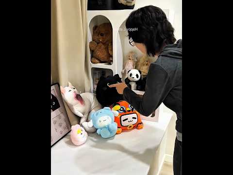 This Girl Secretly Smuggled Two Cats Into the House #shortsvideo