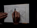 Geography of Oceans and Gulfs
