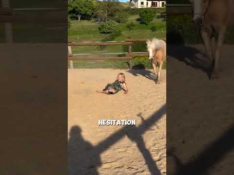 : This Horse Knows Exactly What She Feels 🥺 #Emotional #InSync #AmazingAnimals