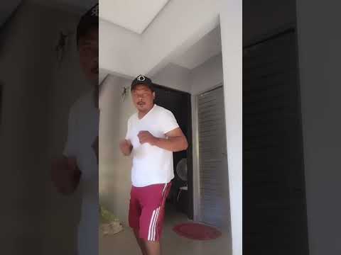 Gato bom de briga
