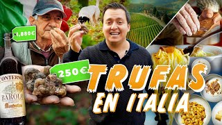 Trufa blanca Italiana, El Oro Blanco  🍝🇮🇹