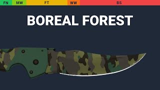 Falchion Knife Boreal Forest Wear Preview
