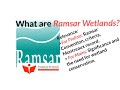 Wetlands and Ramsar Convention Insights