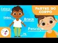 Anatomia e Funções do Corpo Humano