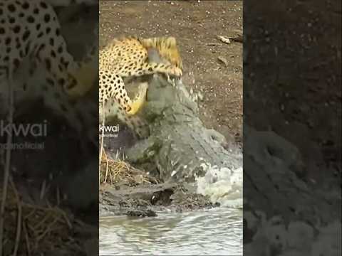 VAI ACONTECER UMA TRAGÉDIA