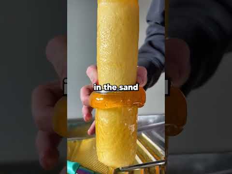 I thought our family tradition was normal. Now I know the disgusting truth.
