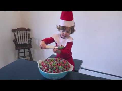 DON"T FEED THE  ELF ON THE SHELF