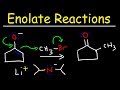 Alkylation of Ketones and Enamines