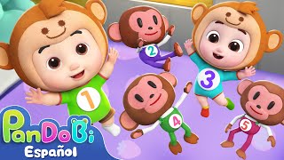 Cinco Monitos | Canciones Infantiles | Canción de los Números | Super Pandobi en Español