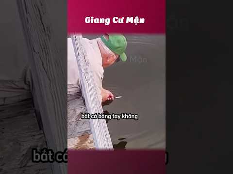 Bắt cá hai tay 🐬🙌 #giangcuman
