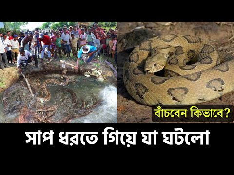 Russell's Viper কতটা ভয়ঙ্কর | চন্দ্রবোড়া র কামড় খেয়ে কীভাবে বেঁচে ফিরলো শাশ্বত