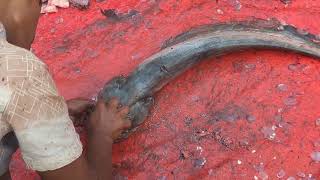 Giant Monster Wallago Attu Catfish Cutting In Bangladesh | Boal Fish Cutting Skills | EP-55