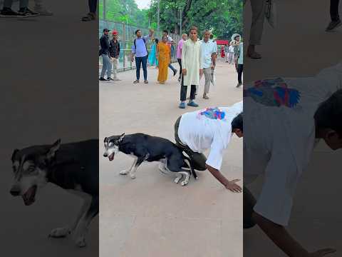 India talen support karo guys 🙏 Please Like👍 Kro #viraljump #indiatalent #dogshorts