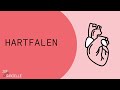 Hartfalen en het RAAS-systeem