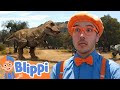 Blippi's Dinosaur Adventure Questions