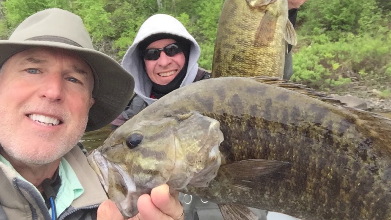 Topwater Smallmouth - Seine River - The New Fly Fisher