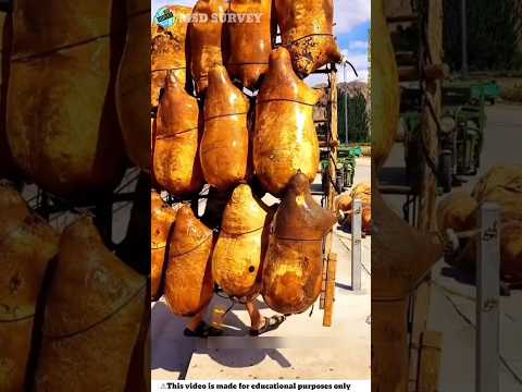 3000 year old boat making method in China#boat #facts #shorts