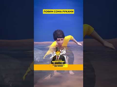 ЛОВИМ СОМА РУКАМИ
