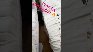 Crno ist gefährlich