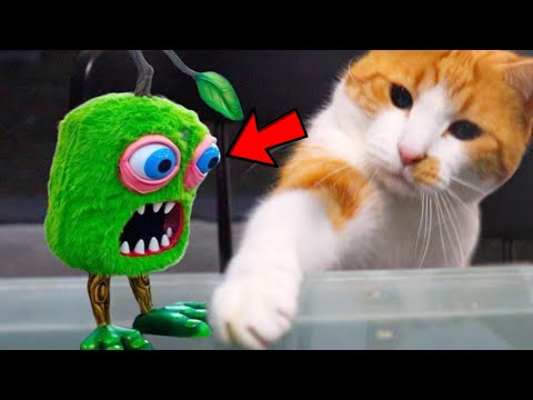I Made My Singing Monsters Into CAT TOYS