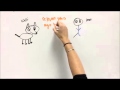 Selective Breeding in Animals